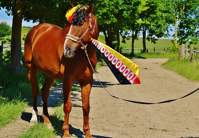 樣的中游球 樣的中游球