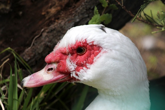 这不仅证明 这不仅证明