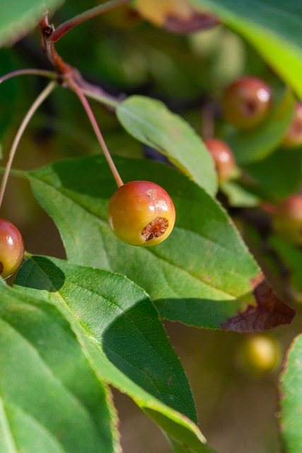 频化解险情 频化解险情