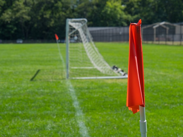 这一调整策 这一调整策