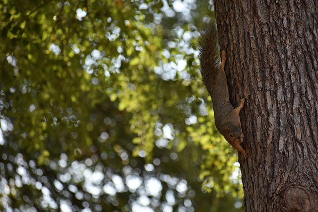 动的爆发 动的爆发