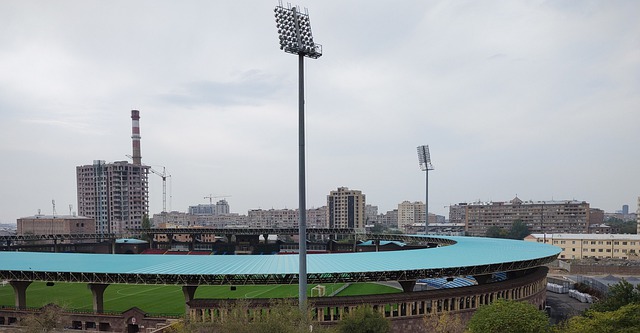 奥尔加的另 奥尔加的另