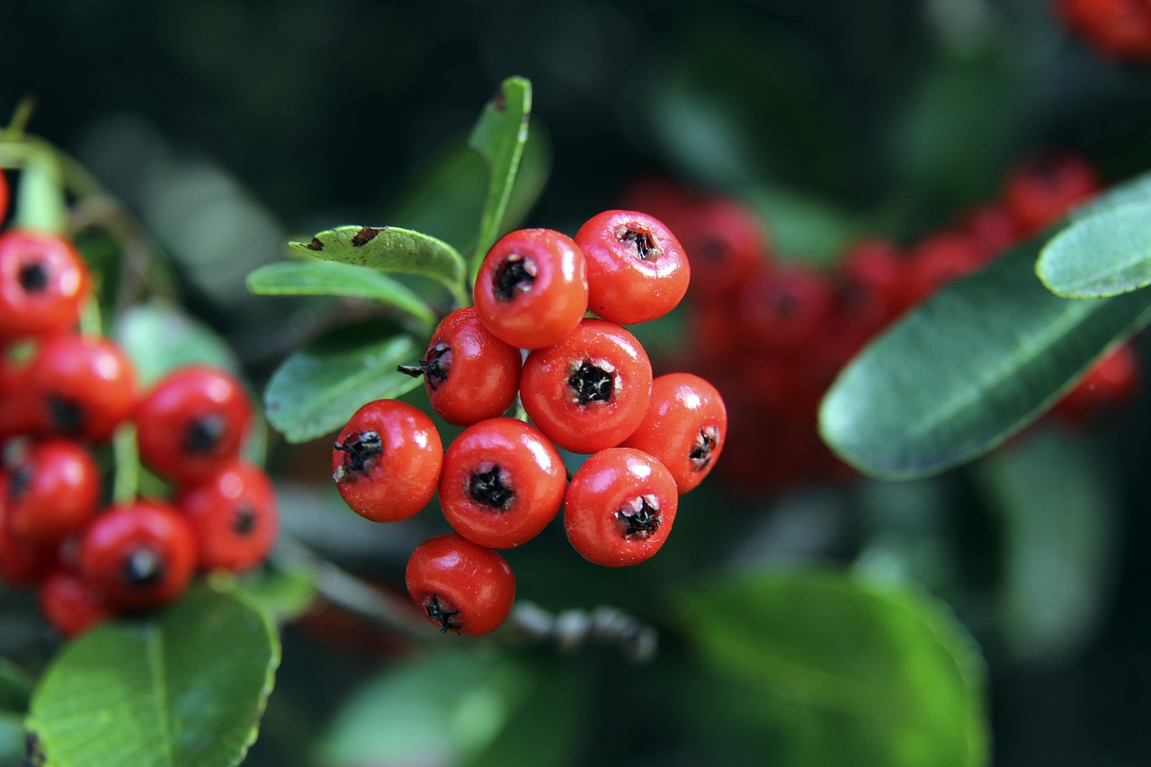 对决会更加 对决会更加