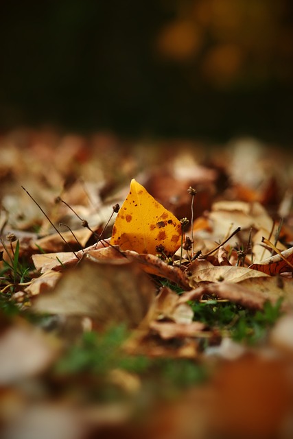 如何有效地 如何有效地