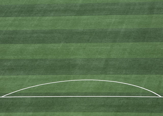 敏锐的球感 敏锐的球感