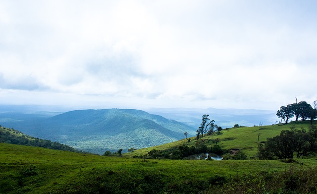 鸣锣开赛 鸣锣开赛