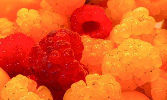 隊的貢獻 隊的貢獻