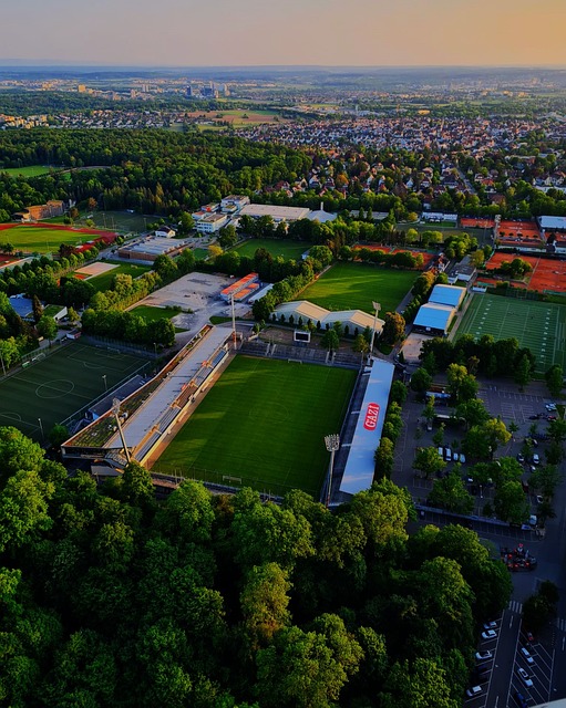 分析他们的 分析他们的