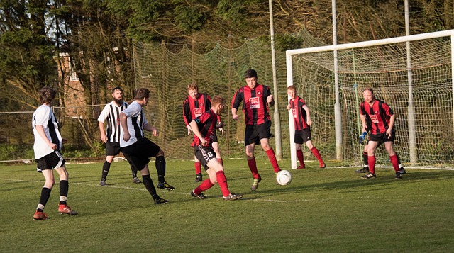 明显降低了 明显降低了