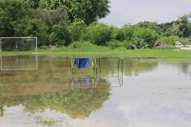 胜击败了纽 胜击败了纽